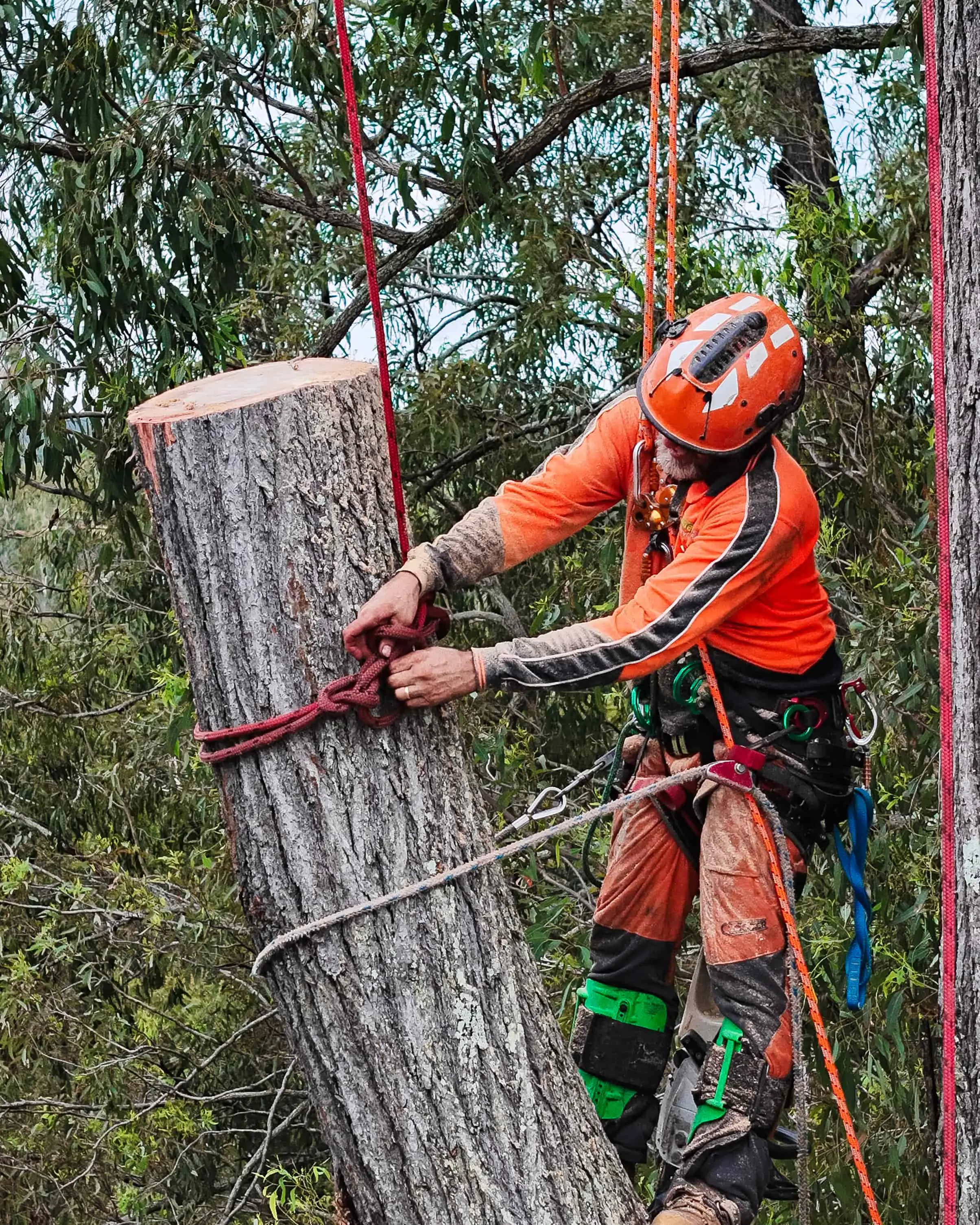 Michael and Nic from MTS