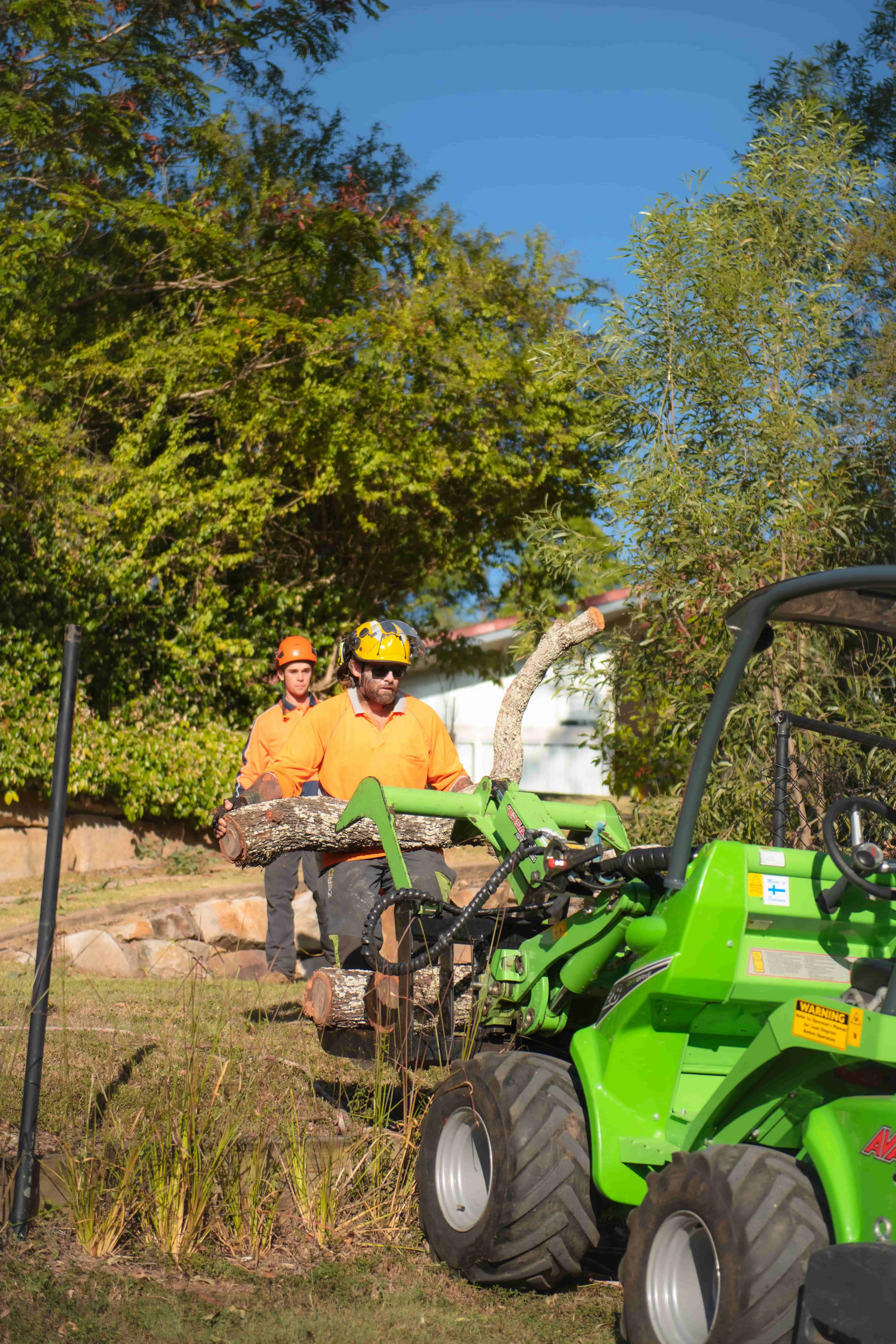 Tree service crew at work
